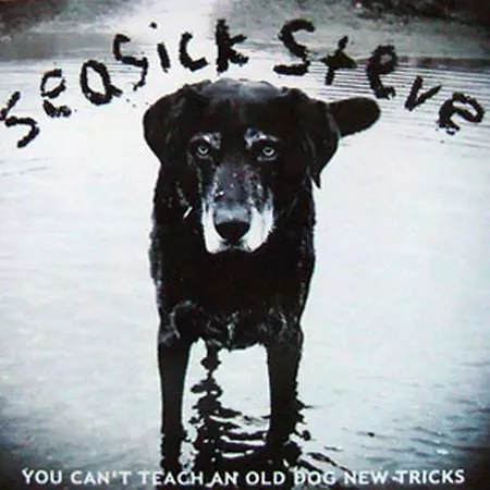 You Can't Teach An Old Dog New Tricks