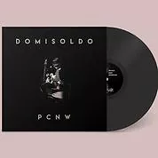 Domisoldo