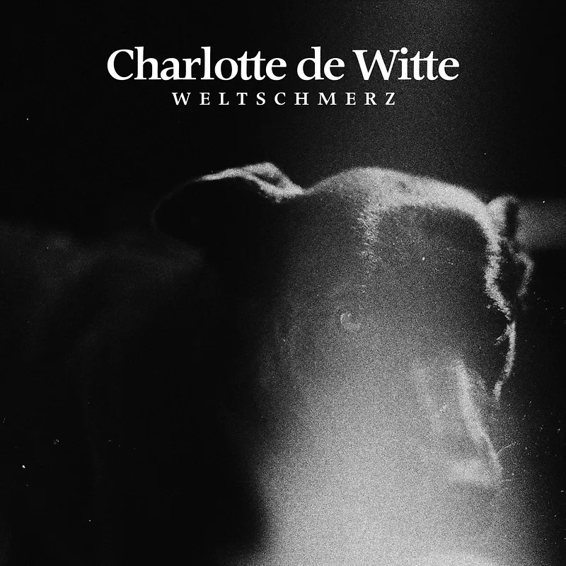 Weltschmerz - 2021 Repress - Black Marbled Vinyl