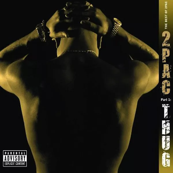 The Best Of 2Pac - Part 1: Thug