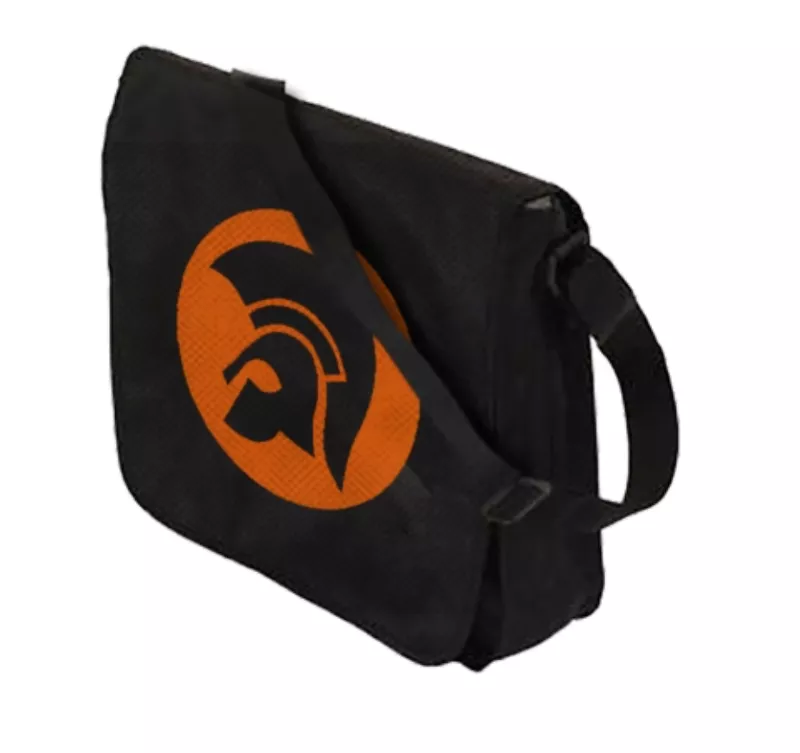 Recordbag Trojan Helmet Logo