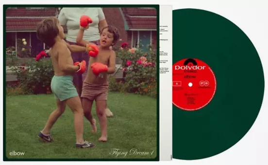 Flying Dream 1 - Indie only Green vinyl