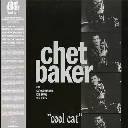 Cool Cat