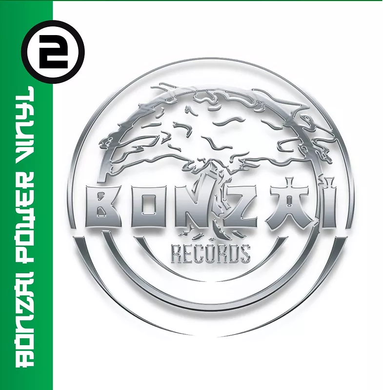 Bonzai Power Vinyl 2 - Black vinyl