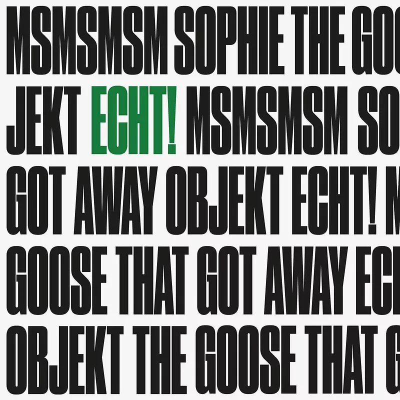 Msmsmsm / The Goose That Got Away