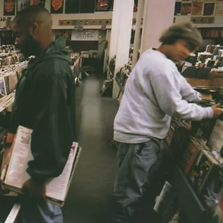 Endtroducing... - Standard Edition