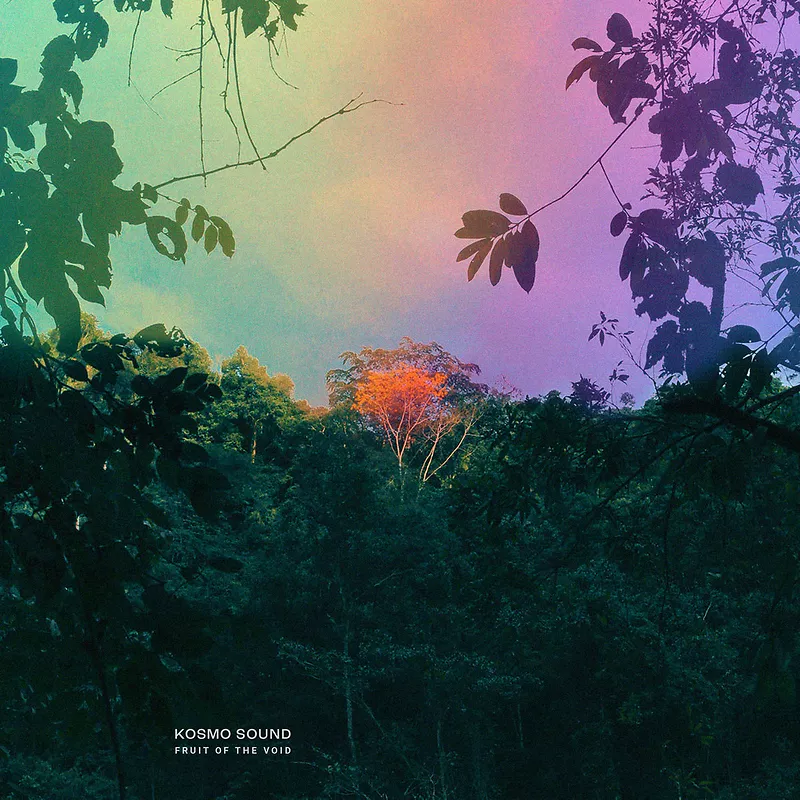 Fruit Of The Void - Coloured Vinyl
