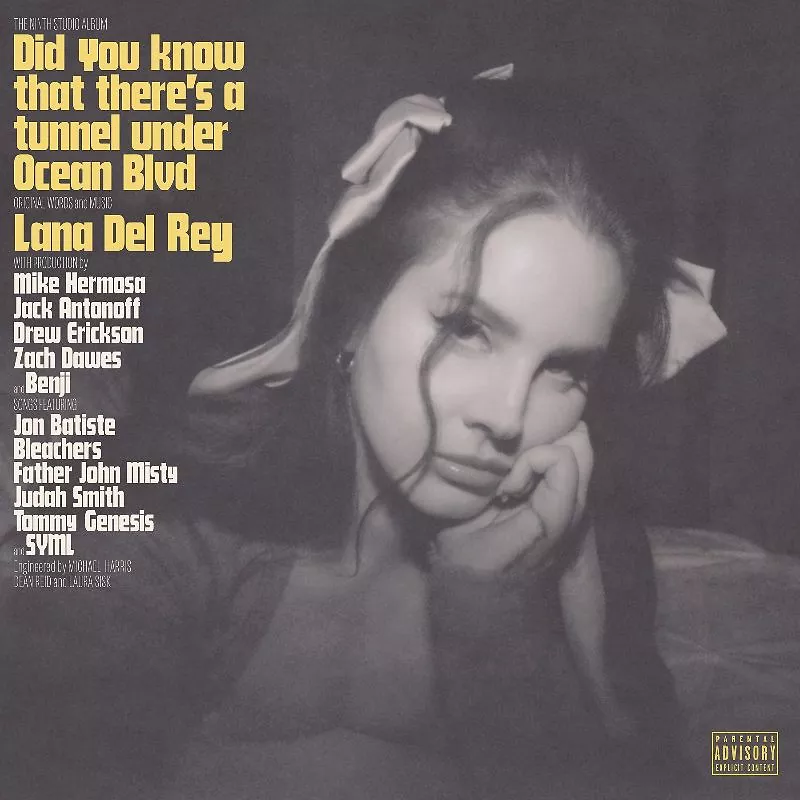 Did You Know That There's A Tunnel Under Ocean Blvd - Standard Black Vinyl
