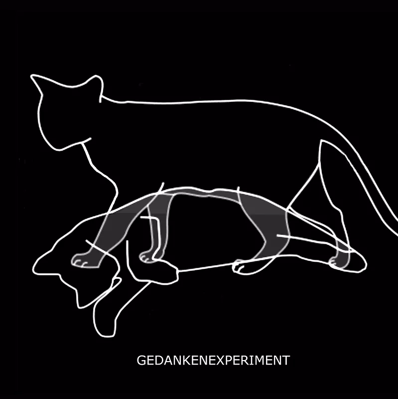 Experiment Defined