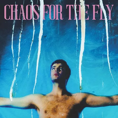 Chaos For The Fly - Black Vinyl