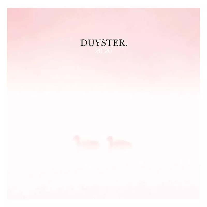 Duyster 2020 - Ltd Marble vinyl - Studio Brussel 2xLP