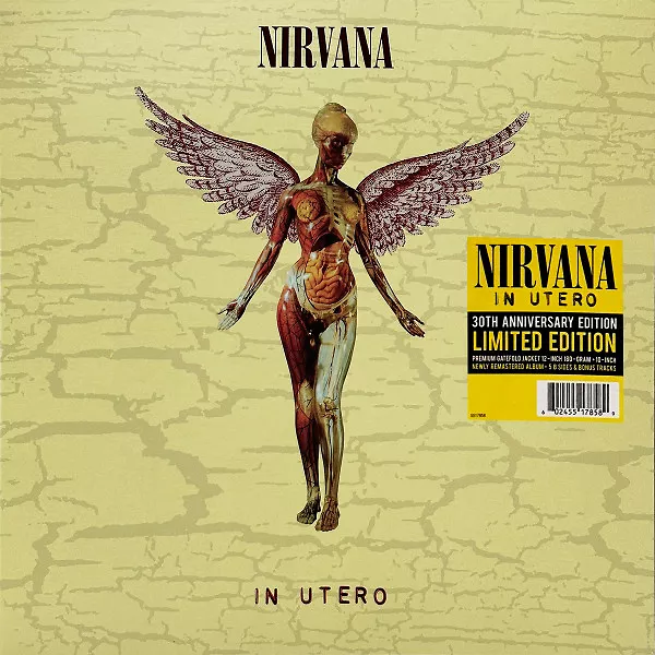 In Utero - 30th Anniversary edition