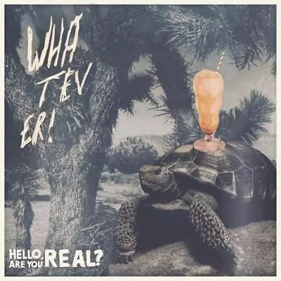 Hello, Are You Real?