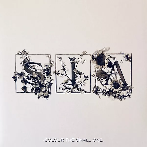 Colour The Small One