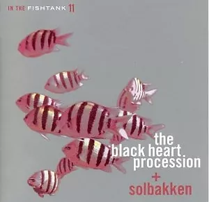 In The Fishtank 11