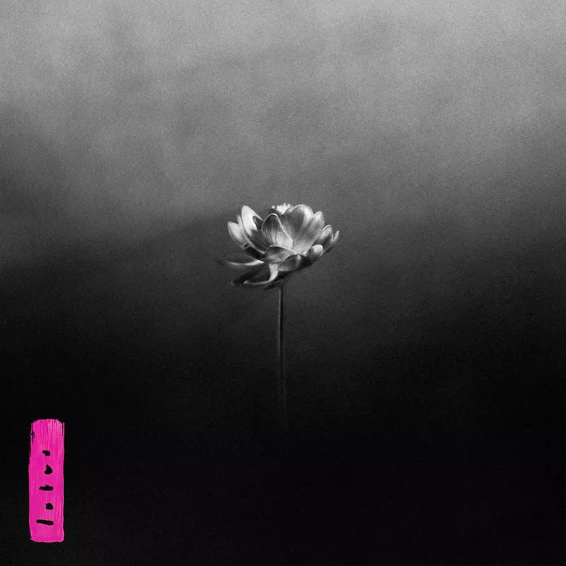 Lotus - Black Vinyl