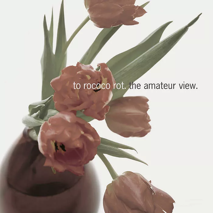 The Amateur View
