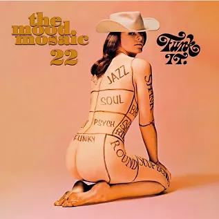 The Mood Mosaic Vol. 22