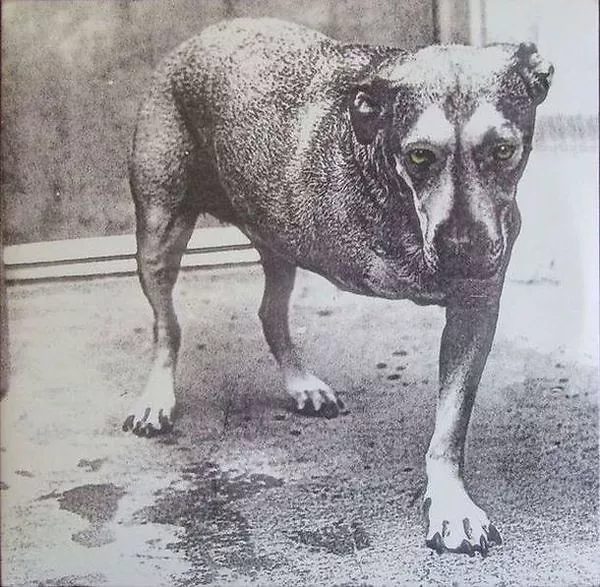 Alice In Chains (30th Anniversary)