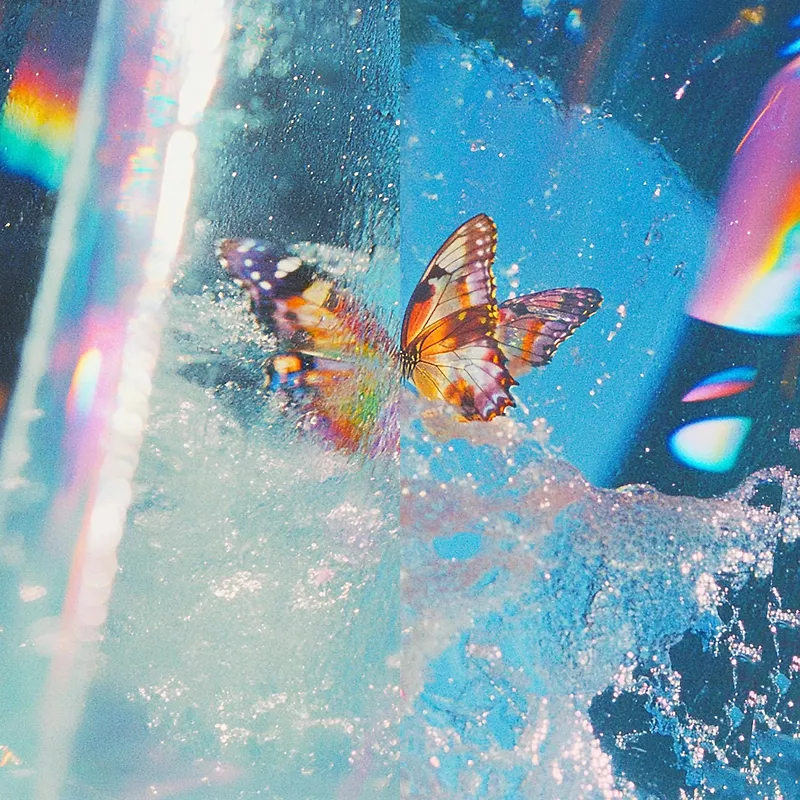 Butterfly - Black Vinyl