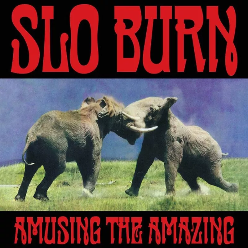 Amusing The Amazing