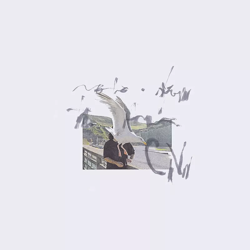 notes from the air
