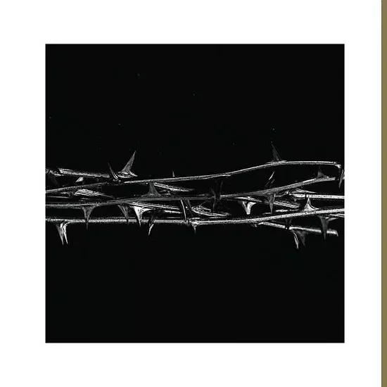 De Doorn - Ltd Gold Coloured Vinyl