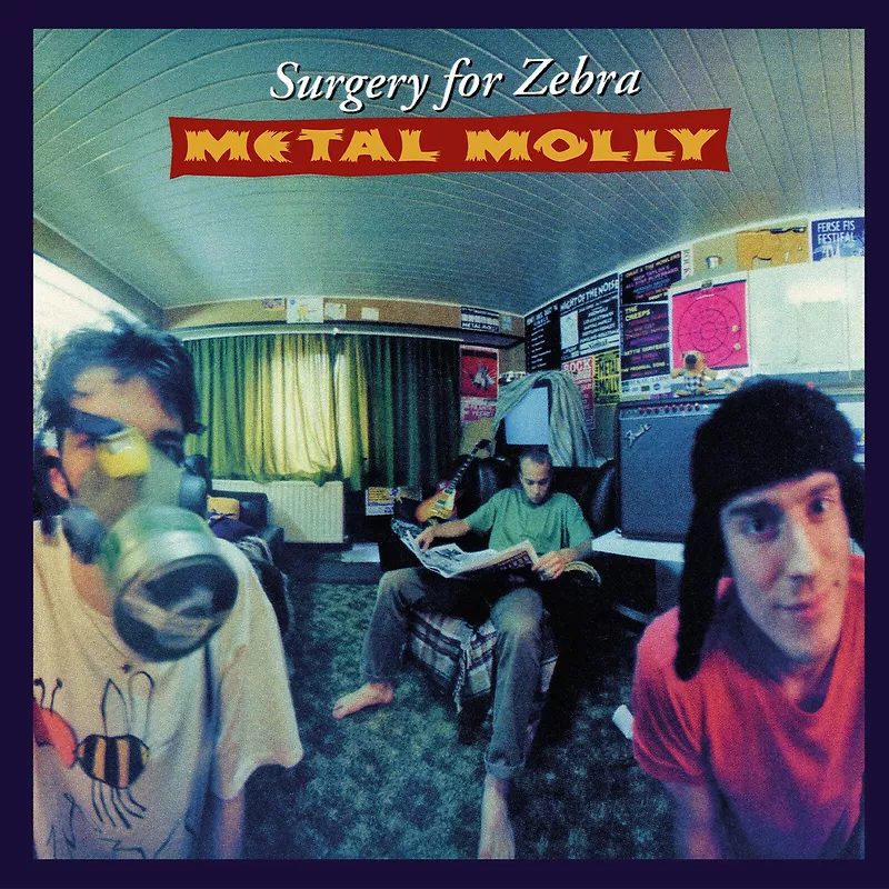 Surgery For Zebra