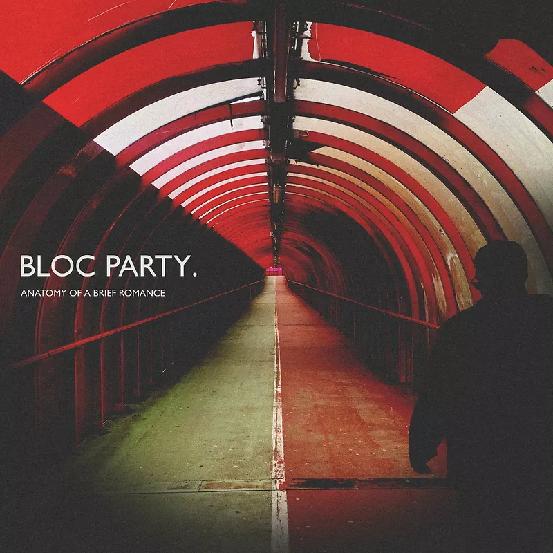 Anatomy Of A Brief Romance - Black Vinyl