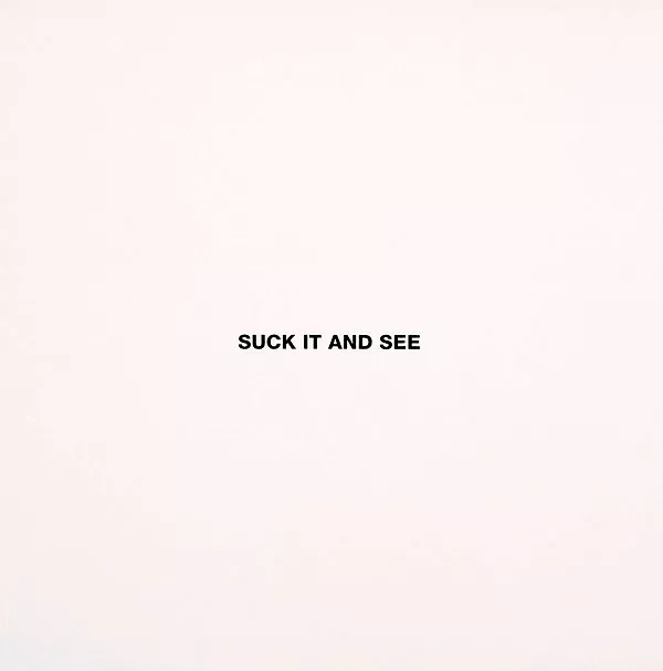 Suck It And See