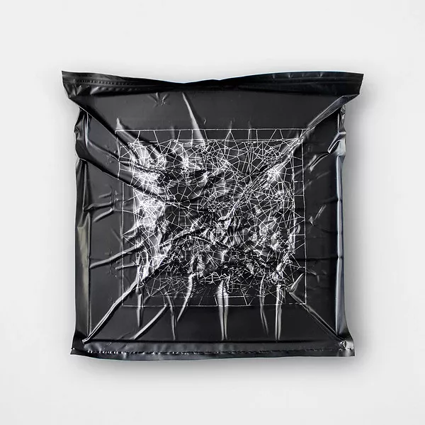 Ekster 005