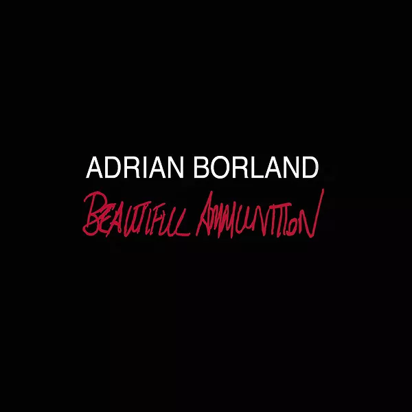 Beautiful Ammunition