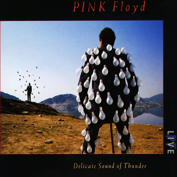 Delicate Sound Of Thunder.