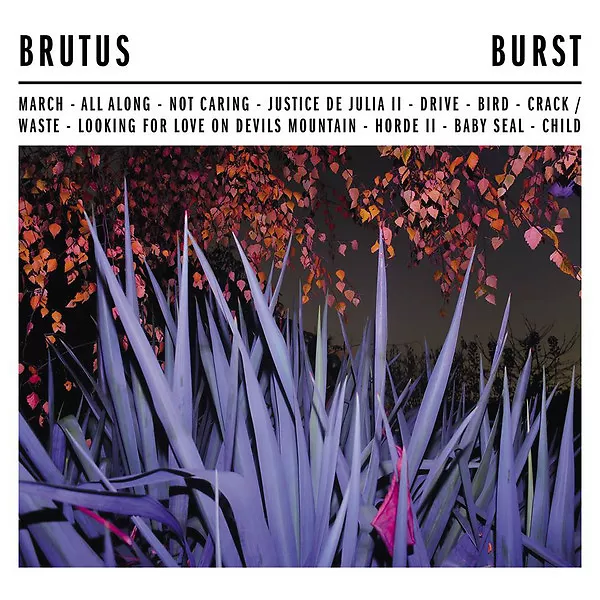 Burst