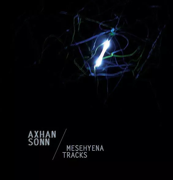 Mesehyena Tracks