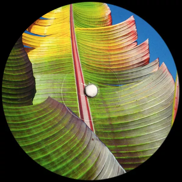 Kieran Hebden - Only Human