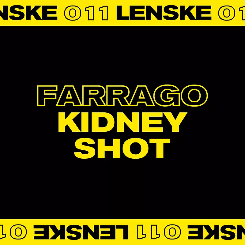 Kidney Shot EP - LENSKE011