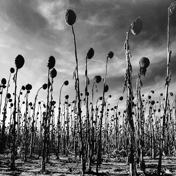 Anastasis