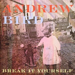 Break It Yourself by Andrew Bird