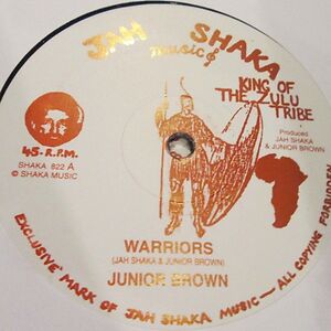 Warriors by Junior Brown
