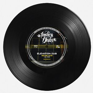 Elevation Dub by Indica Dubs