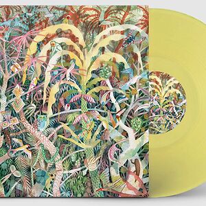 Lichen EP - Ltd yellow vinyl by Dijf Sanders