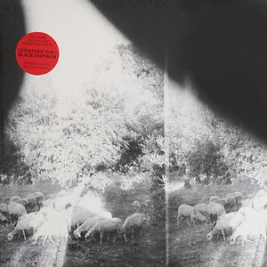 Asunder, Sweet And Other Distress by Godspeed You! Black Emperor