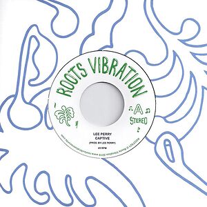 Captive by Lee Perry