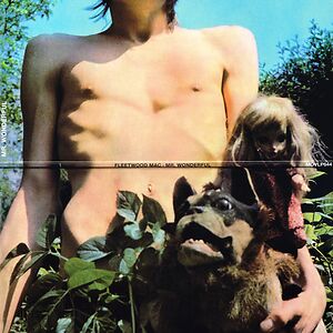 Mr. Wonderful by Fleetwood Mac