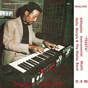 Tezeta by Hailu Mergia