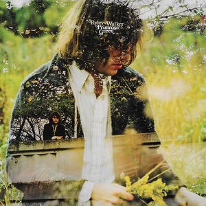 Primrose Green by Ryley Walker