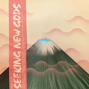 Seeking New Gods by Gruff Rhys