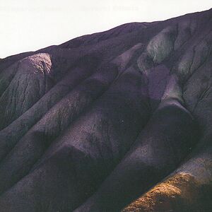 Several Others - Ltd rust coloured vinyl by Whispering Sons