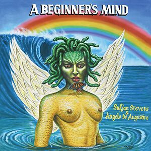 A Beginner's Mind  by Sufjan Stevens
